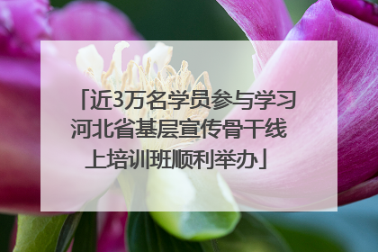 近3万名学员参与学习 河北省基层宣传骨干线上培训班顺利举办