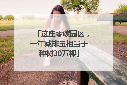 这座零碳园区，一年减排量相当于种树30万棵