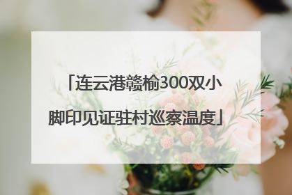 连云港赣榆300双小脚印见证驻村巡察温度