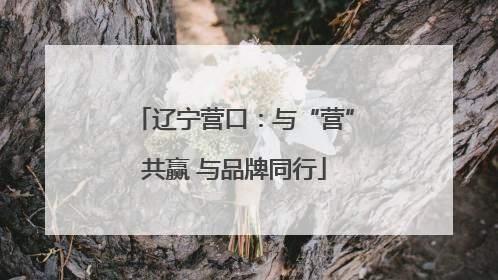 辽宁营口：与“营”共赢 与品牌同行
