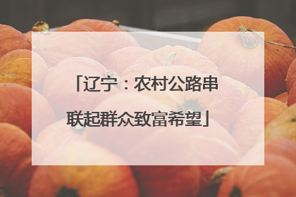 辽宁：农村公路串联起群众致富希望