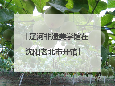 辽河非遗美学馆在沈阳老北市开馆