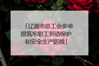 辽源市总工会多举措筑牢职工劳动保护和安全生产防线