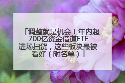 调整就是机会！年内超700亿资金借道ETF进场扫货，这些板块最被看好（附名单）