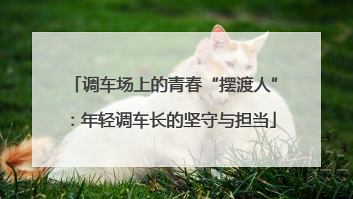 调车场上的青春“摆渡人”：年轻调车长的坚守与担当