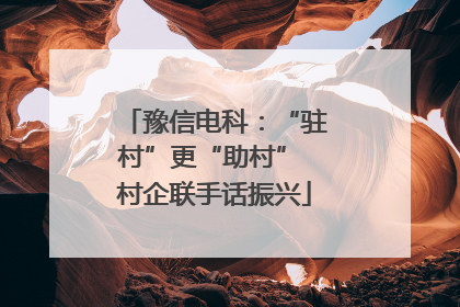 豫信电科：“驻村”更“助村” 村企联手话振兴
