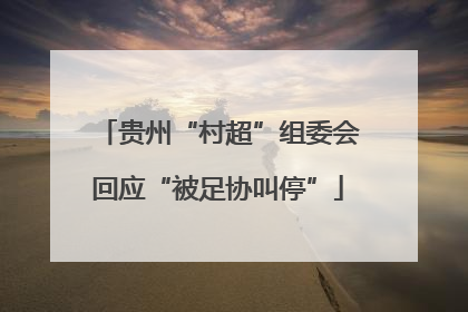 贵州“村超”组委会回应“被足协叫停”