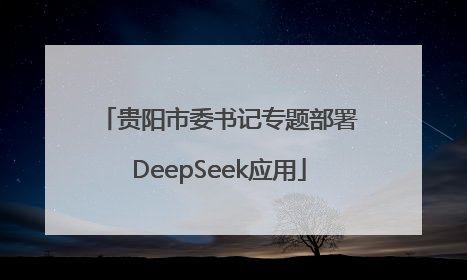 贵阳市委书记专题部署DeepSeek应用