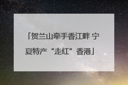 贺兰山牵手香江畔 宁夏特产“走红”香港