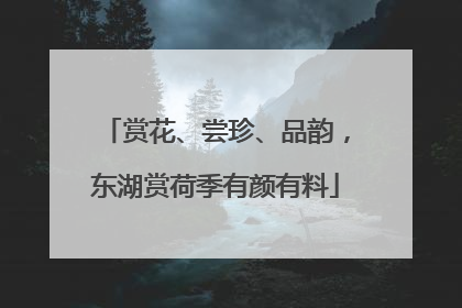 赏花、尝珍、品韵，东湖赏荷季有颜有料