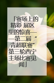赛场上的精彩 展区里的惊喜——第二届“青超联赛”第三轮西宁主场比赛见闻