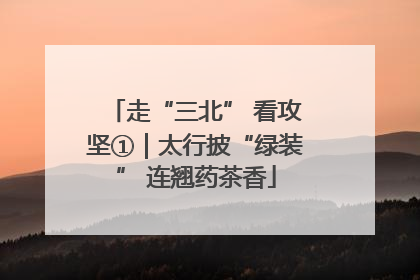 走“三北” 看攻坚①｜太行披“绿装” 连翘药茶香
