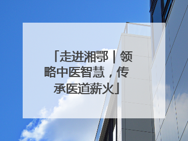 走进湘鄂｜领略中医智慧，传承医道薪火