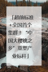 超前标准+全国首个集群！“中国大樱桃之乡”重塑产业标杆