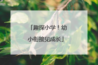 趣探小学！幼小衔接见成长
