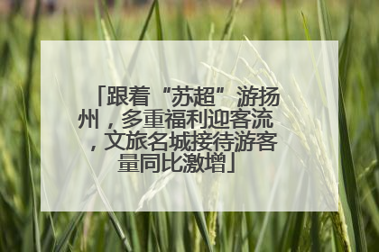 跟着“苏超”游扬州，多重福利迎客流，文旅名城接待游客量同比激增