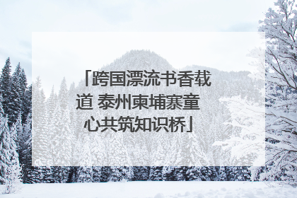 跨国漂流书香载道 泰州柬埔寨童心共筑知识桥