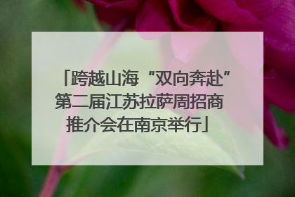 跨越山海“双向奔赴” 第二届江苏拉萨周招商推介会在南京举行