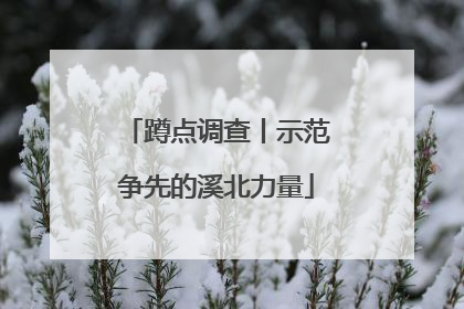 蹲点调查丨示范争先的溪北力量