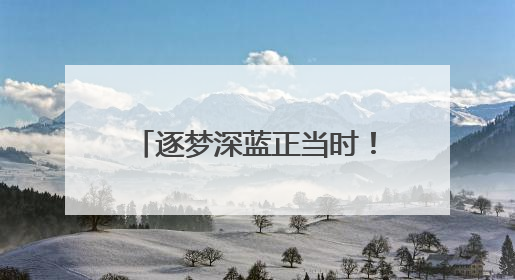逐梦深蓝正当时！《关于推动海洋经济高质量发展的提案》背后的故事