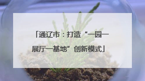 通辽市：打造“一园一展厅一基地”创新模式