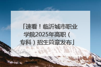 速看！临沂城市职业学院2025年高职（专科）招生简章发布