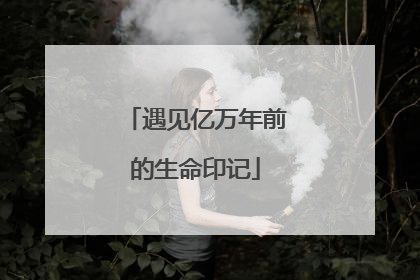 遇见亿万年前的生命印记