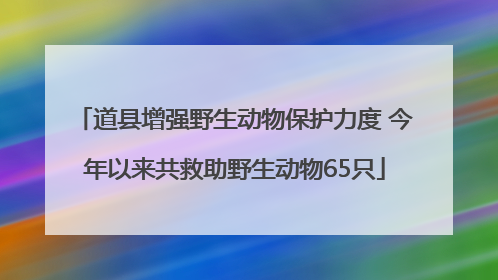 道县增强野生动物保护力度 今年以来共救助野生动物65只