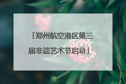 郑州航空港区第三届非遗艺术节启幕