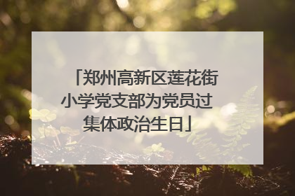 郑州高新区莲花街小学党支部为党员过集体政治生日