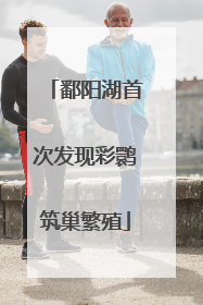 鄱阳湖首次发现彩鹮筑巢繁殖