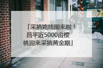 采摘路线图来啦！昌平近5000亩樱桃迎来采摘黄金期