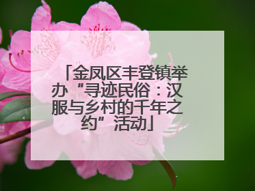 金凤区丰登镇举办“寻迹民俗：汉服与乡村的千年之约”活动
