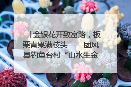 金银花开致富路，板栗青果满枝头——团风县钓鱼台村“山水生金”谱写共富新篇章