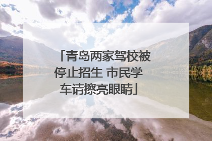 青岛两家驾校被停止招生 市民学车请擦亮眼睛