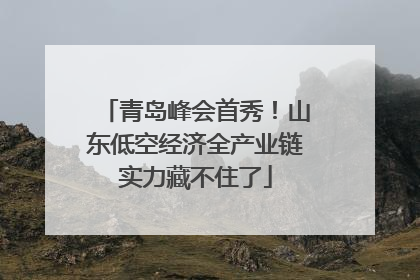 青岛峰会首秀！山东低空经济全产业链实力藏不住了