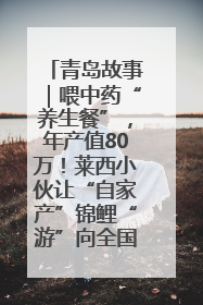 青岛故事｜喂中药“养生餐”，年产值80万！莱西小伙让“自家产”锦鲤“游”向全国