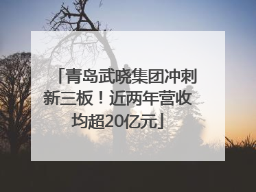 青岛武晓集团冲刺新三板！近两年营收均超20亿元