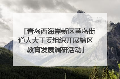 青岛西海岸新区黄岛街道人大工委组织开展辖区教育发展调研活动