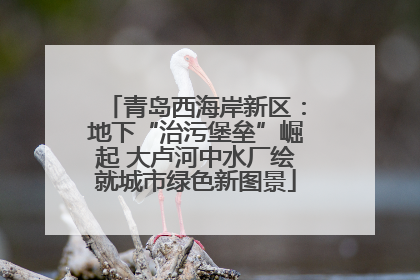 青岛西海岸新区：地下“治污堡垒”崛起 大卢河中水厂绘就城市绿色新图景