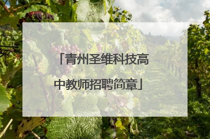 青州圣维科技高中教师招聘简章