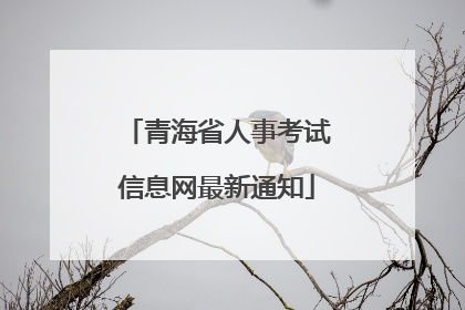 青海省人事考试信息网最新通知
