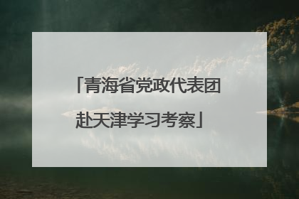 青海省党政代表团赴天津学习考察