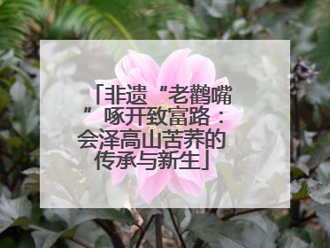 非遗“老鹳嘴”啄开致富路：会泽高山苦荞的传承与新生