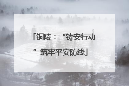 铜陵：“铸安行动”筑牢平安防线