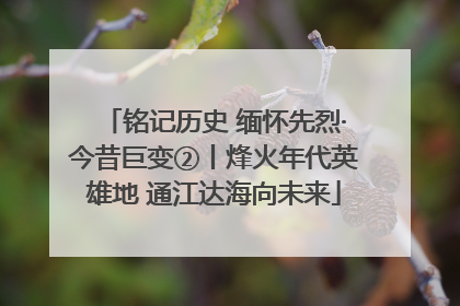 铭记历史 缅怀先烈·今昔巨变②丨烽火年代英雄地 通江达海向未来