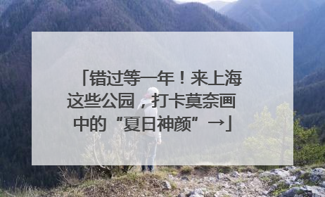 错过等一年！来上海这些公园，打卡莫奈画中的“夏日神颜”→