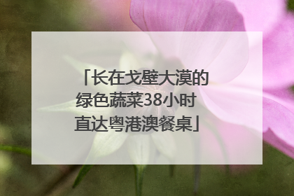 长在戈壁大漠的绿色蔬菜38小时直达粤港澳餐桌