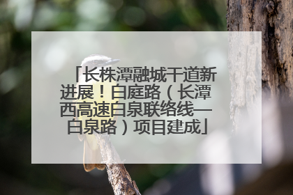 长株潭融城干道新进展！白庭路（长潭西高速白泉联络线—白泉路）项目建成