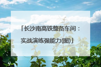 长沙南高铁整备车间：实战演练强能力(图)